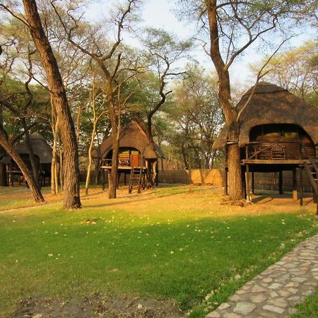 Dete The Tree Lodge At Sikumi מראה חיצוני תמונה