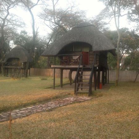 Dete The Tree Lodge At Sikumi מראה חיצוני תמונה
