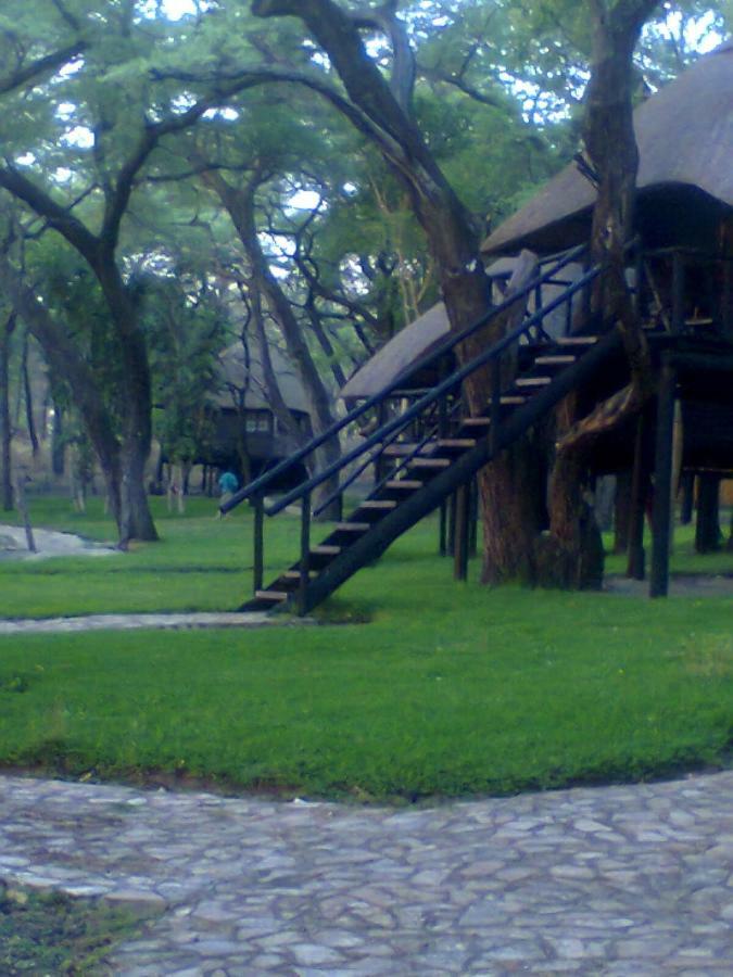 Dete The Tree Lodge At Sikumi מראה חיצוני תמונה