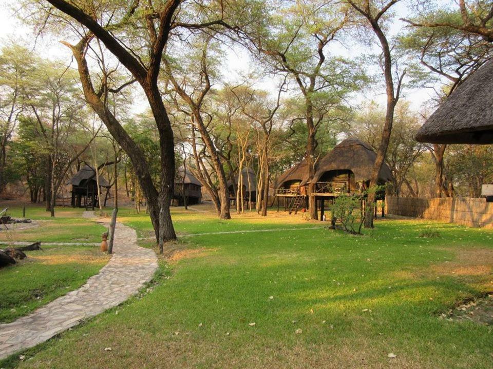 Dete The Tree Lodge At Sikumi מראה חיצוני תמונה