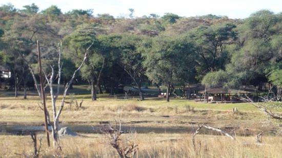 Dete The Tree Lodge At Sikumi מראה חיצוני תמונה