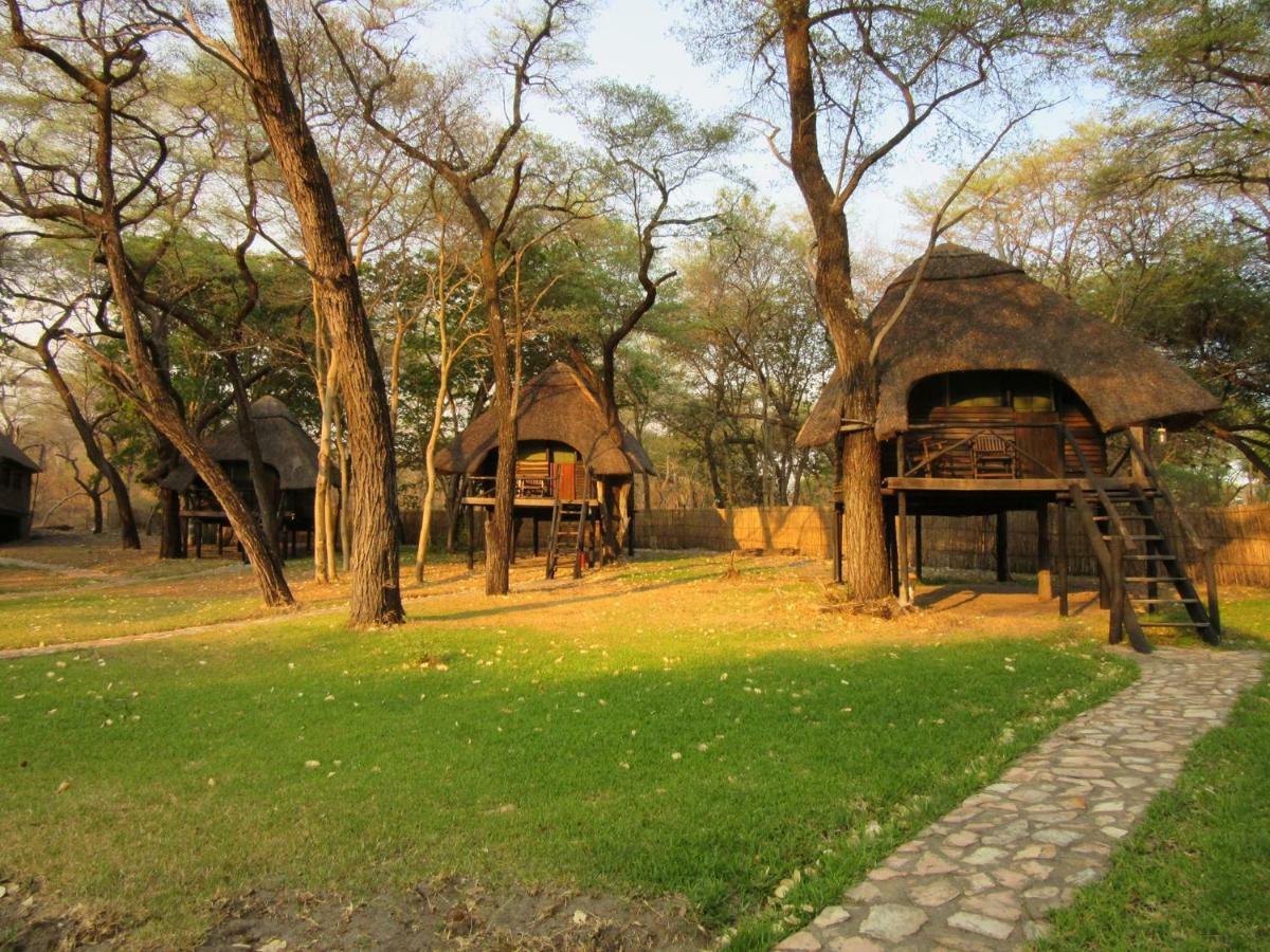 Dete The Tree Lodge At Sikumi מראה חיצוני תמונה