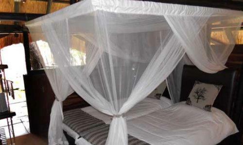 Dete The Tree Lodge At Sikumi מראה חיצוני תמונה
