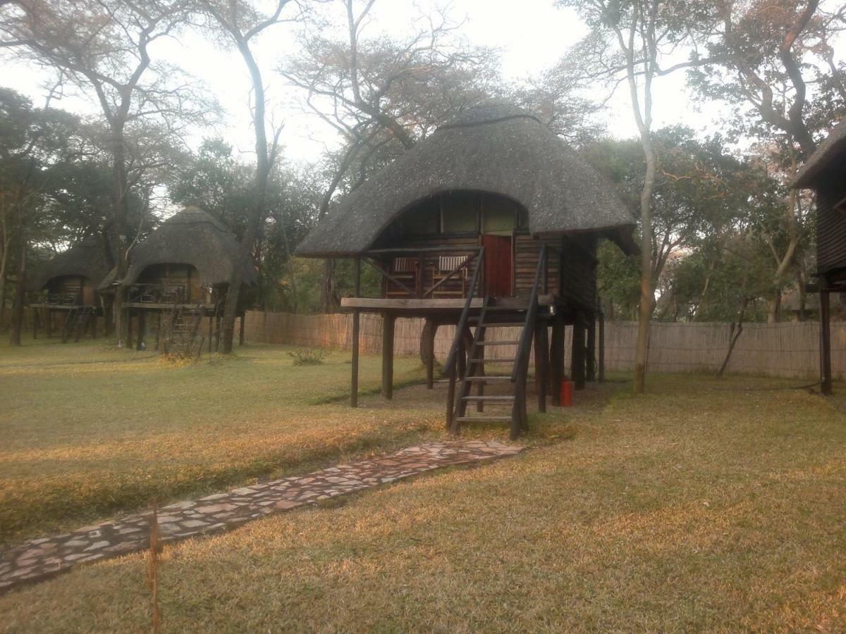 Dete The Tree Lodge At Sikumi מראה חיצוני תמונה