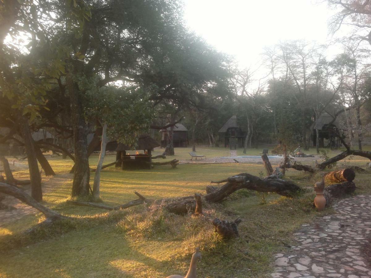 Dete The Tree Lodge At Sikumi מראה חיצוני תמונה
