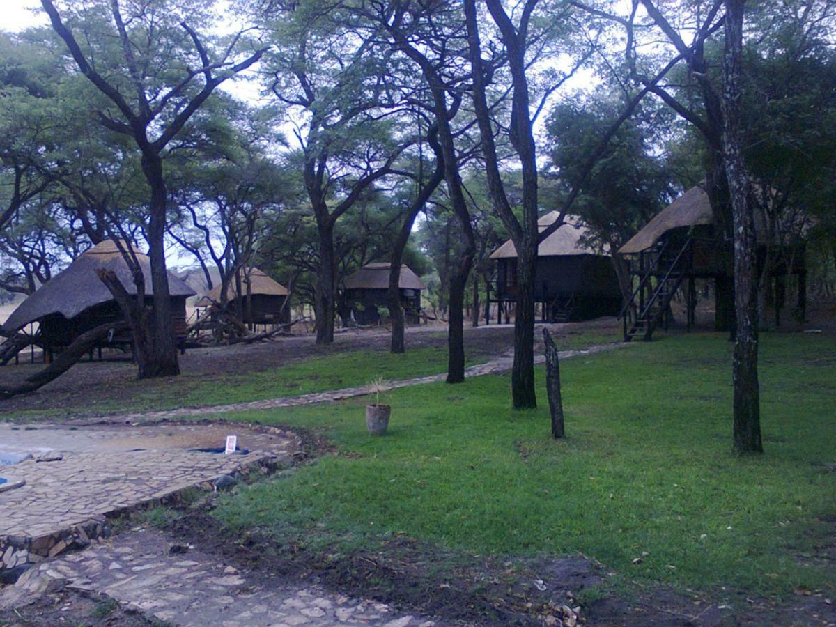 Dete The Tree Lodge At Sikumi מראה חיצוני תמונה