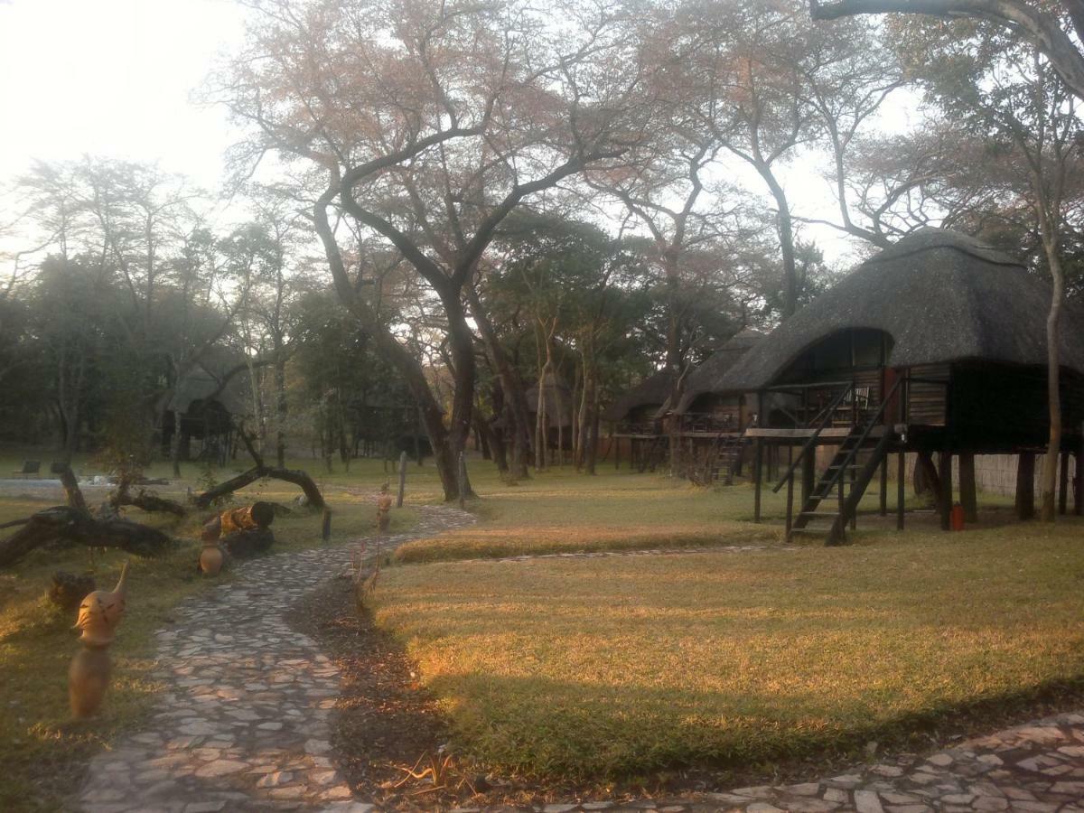Dete The Tree Lodge At Sikumi מראה חיצוני תמונה