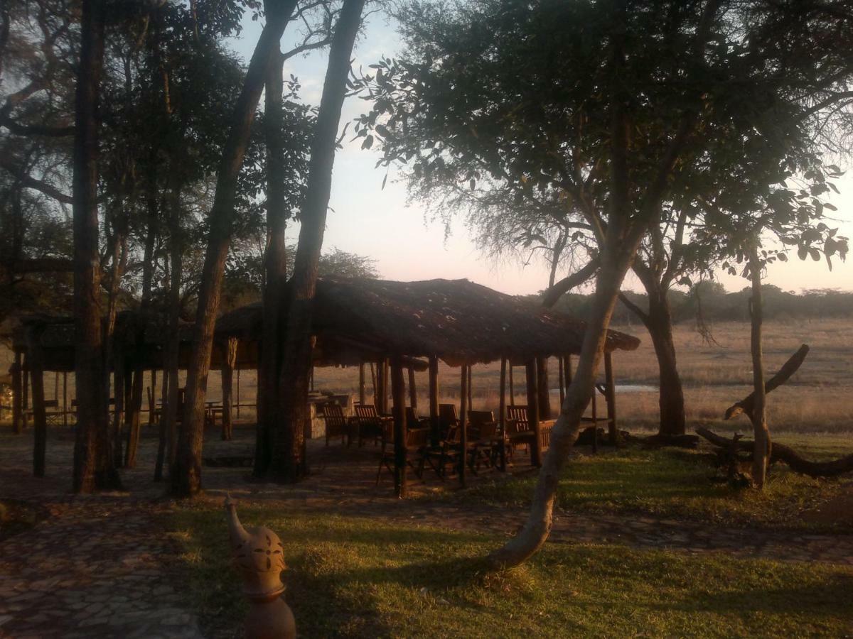 Dete The Tree Lodge At Sikumi מראה חיצוני תמונה