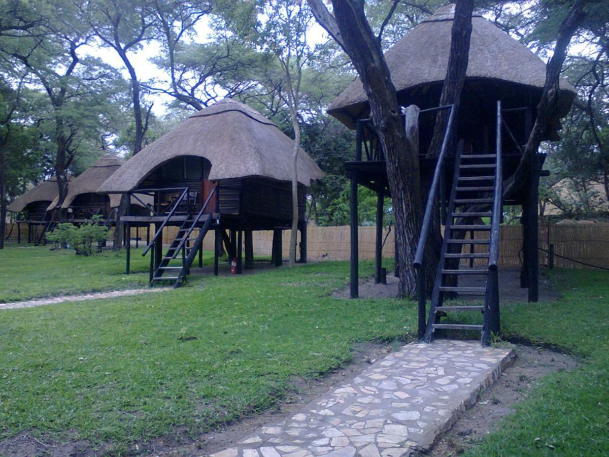 Dete The Tree Lodge At Sikumi מראה חיצוני תמונה